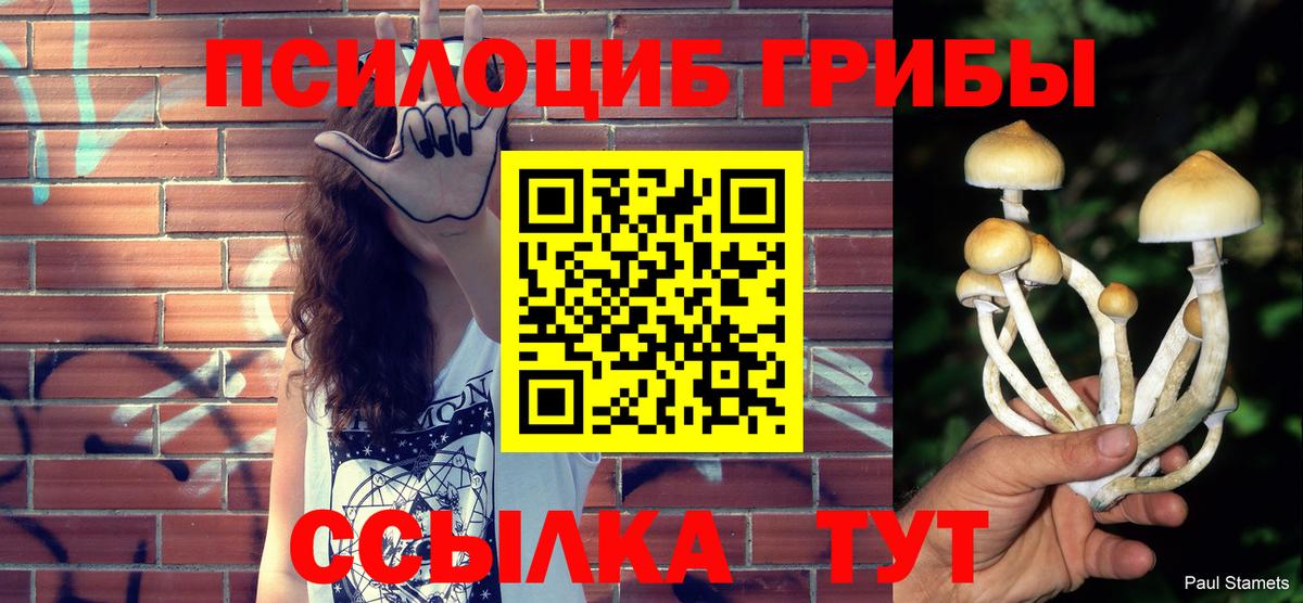 Киреевск  Псилоцибиновые грибы Cubensis  как найти закладки  Вход с VPN 