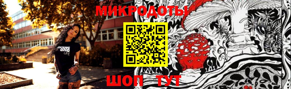 Псилоцибиновые грибы мицелий Киреевск